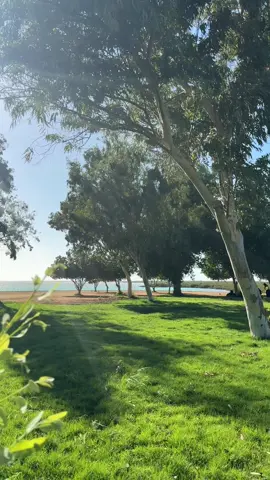 #اللّهم أَرِنا #الحق حقًّا وارزقنا اتباعه، وأرِنا الباطل باطلًا وارزقنا اجتنابه، اللّهم لا تجعلنا من #الظالمين واهدنا صراطك المستقيم برحمتك يا أرحم #الراحمين ...آمين 🤲