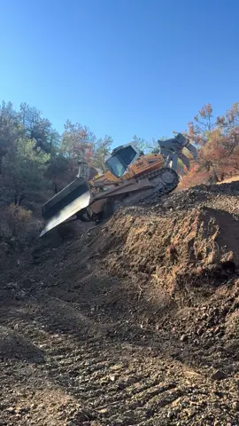 Ormanda sennebogen Dozer 