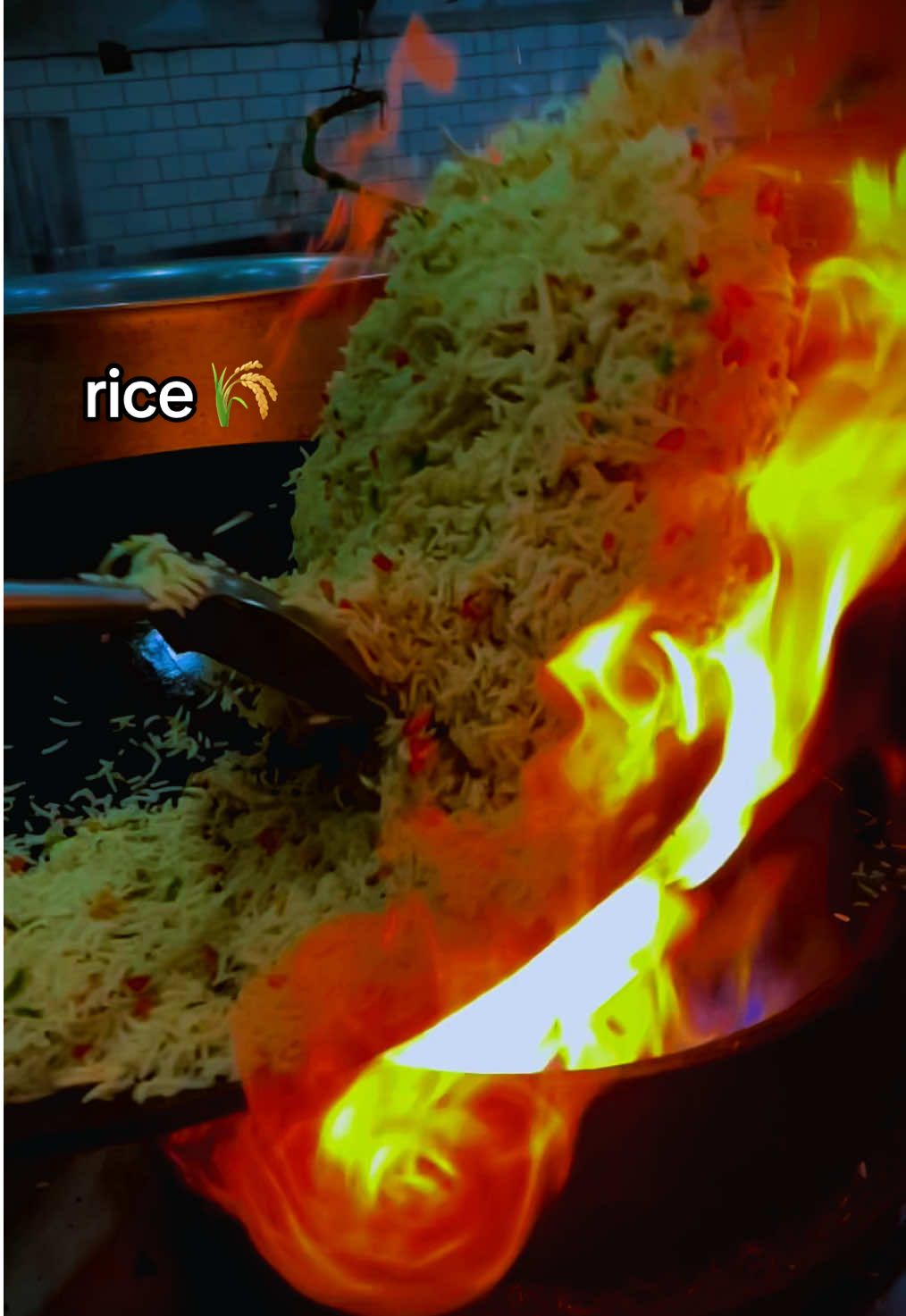 Chinese eggs fried rice 🌾 Eggs fried rice 🍚  #chinese #eggfriedrice #rice  #chicken #unfrezzmyaccount 