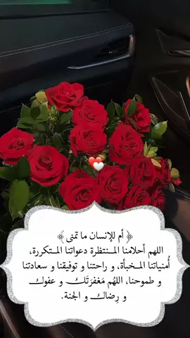 اللهم أحلامنا المُنتظرة دعواتنا المُتكررة، أُمنياتنا المُخبأة، و راحتنا و توفيقنا و سعادتنا و طموحنا، اللهُم مَغفرَتَك وعفوك ورِضاك والجنة#foryou #frypgシ #foryoupage 