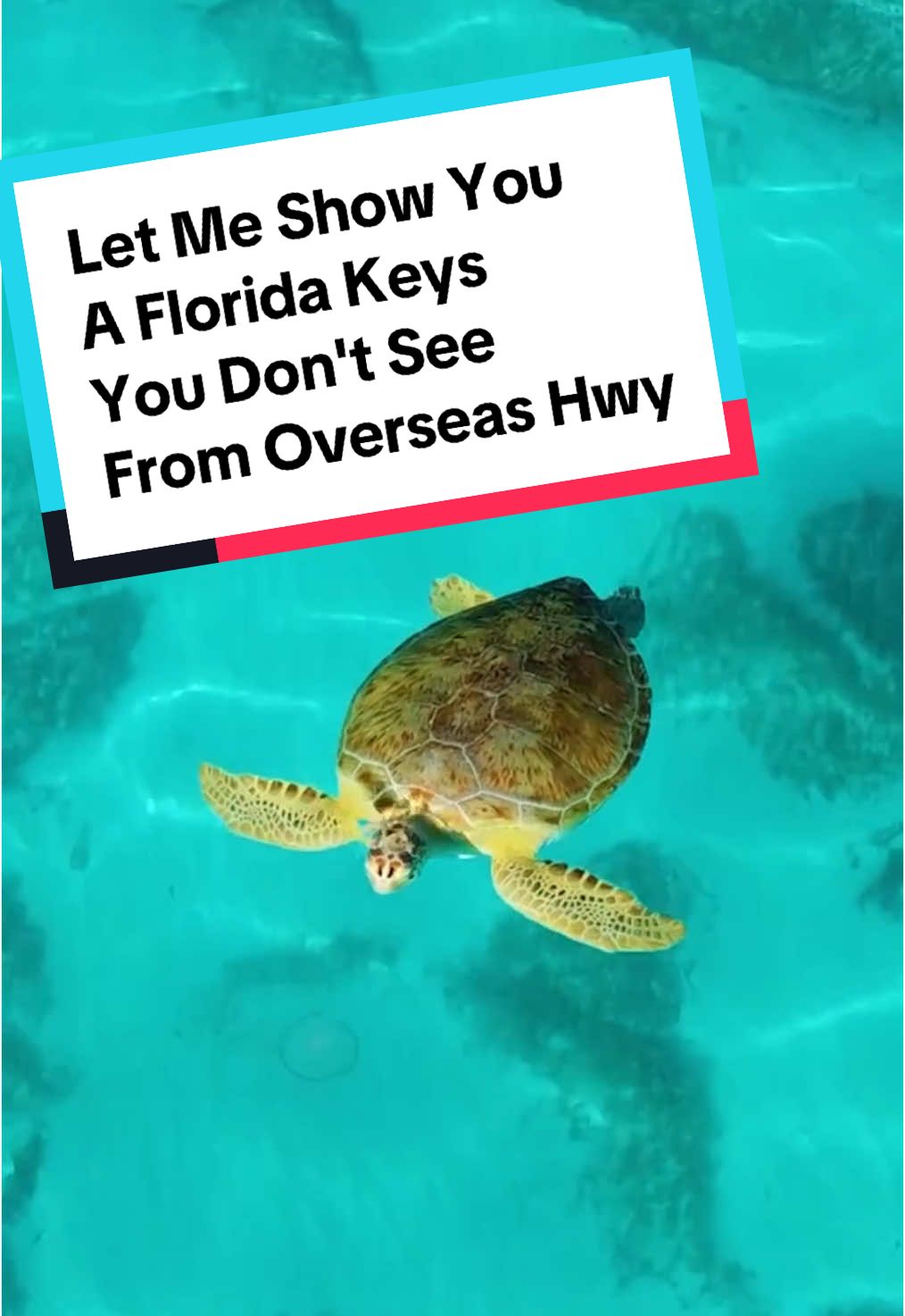 Want to know more about the Florida Keys? From Key Largo to Key West let me show you a side of the Florida Keys you can't see from Overseas Highway!  Reefs to Restaurants, Bungalows to Estates, we've got you covered!  DM me to learn more!  Music, 
