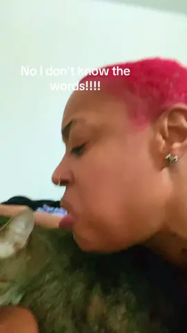 He hates to love me #catmom #furbaby #fyp #fup #pablo 