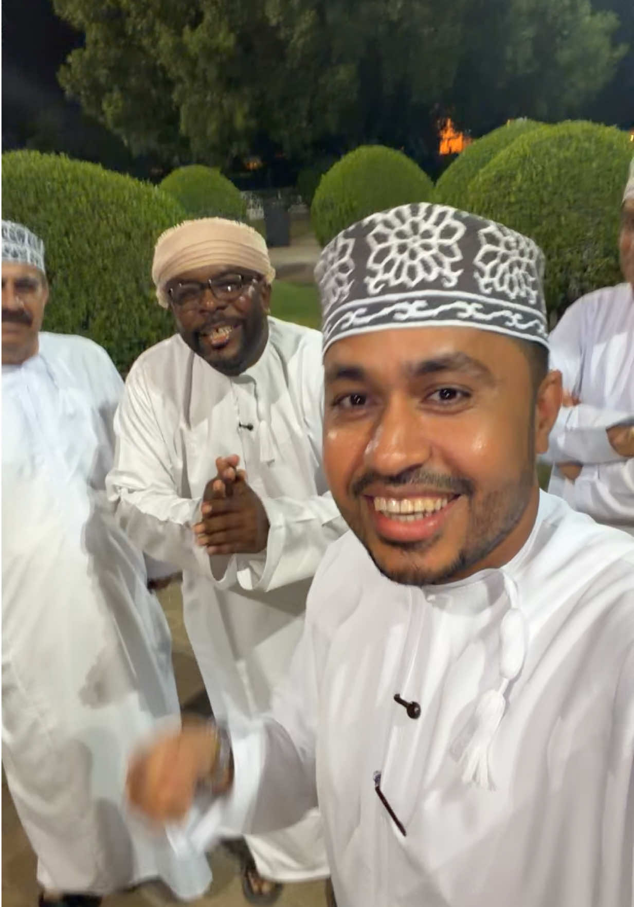 الفنون الجميلة