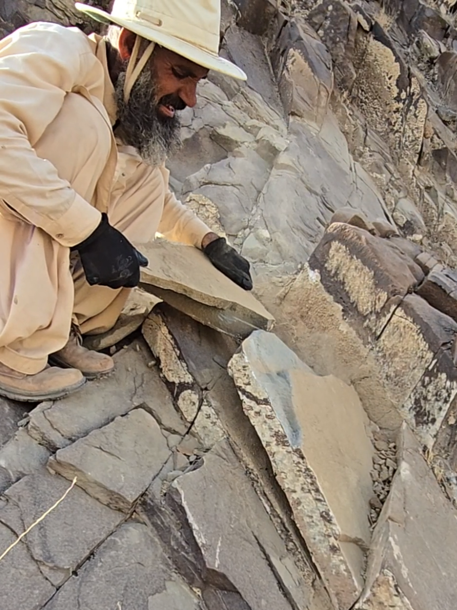 Mining of Rarest Stones 😱 #stonemining #usa #viralvideo #foryou #viral 