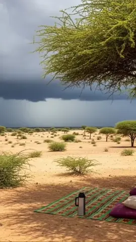 #somali #calture #foryoupage 