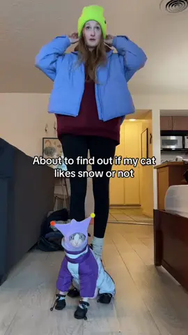 #cat #cats #catsoftiktok 