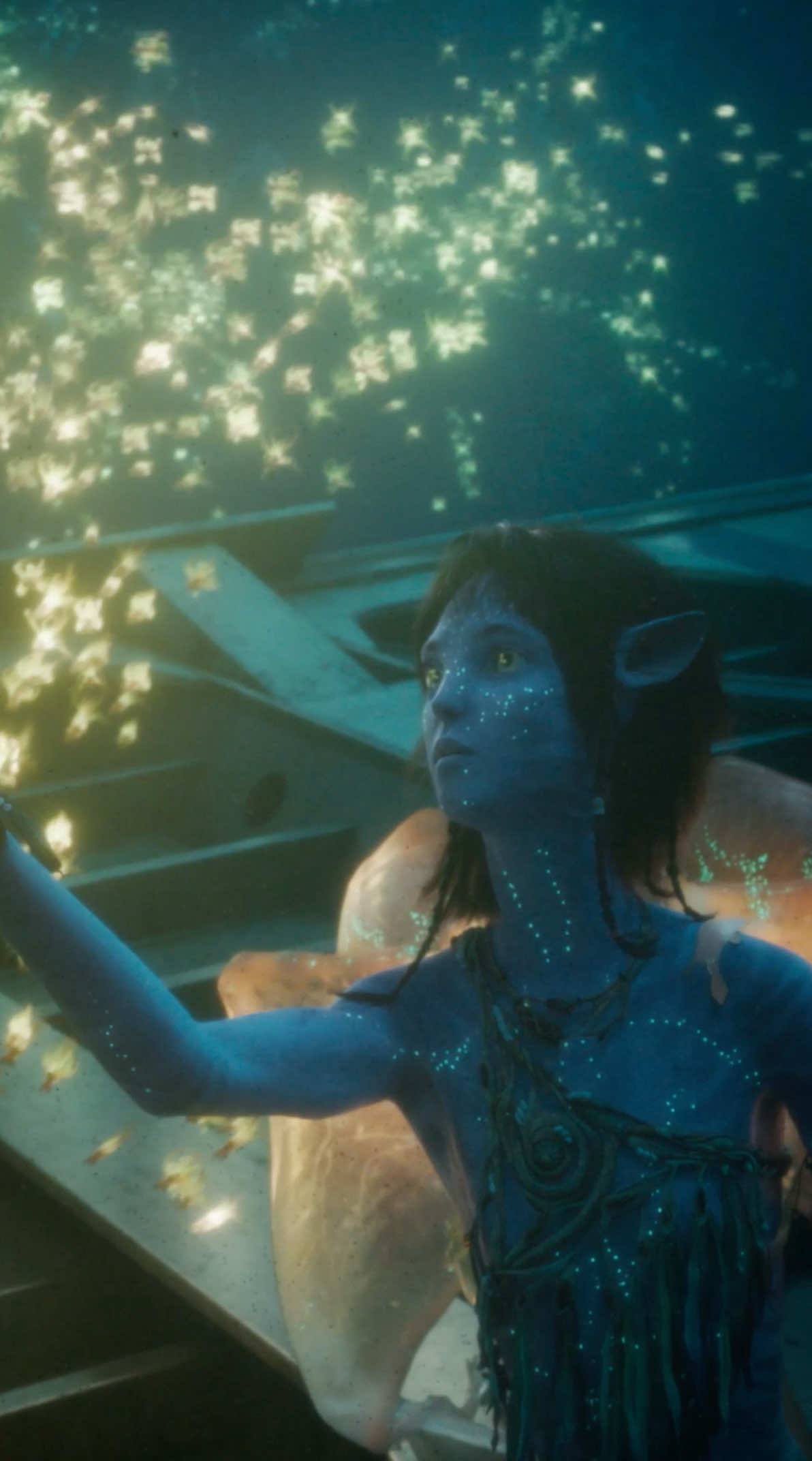 Avatar: The Way of Water is back in theatres for one week only. Experience the global phenomenon exclusively in 3D. Get tickets now.