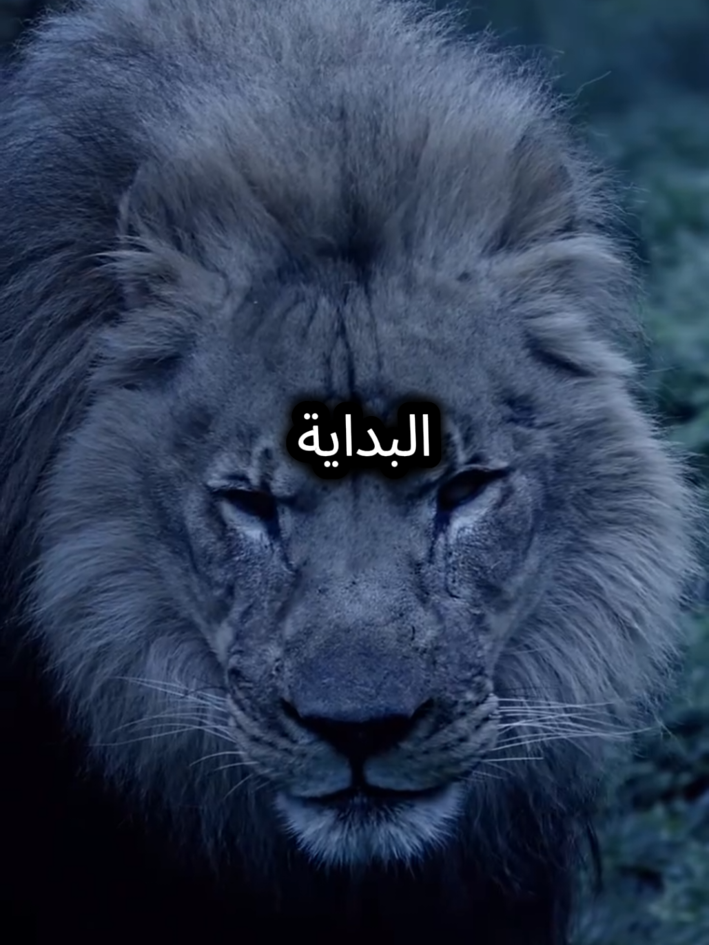 سابدا من جديد هذه المرة ولكن ليس من نقطة البداية #puredreamsghani #المواقف #اقوال_وحكم_الحياة #كلام_من_ذهب #اقتباسات_عبارات_خواطر 