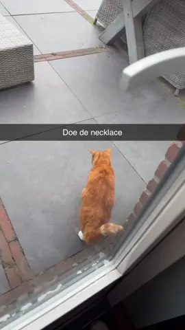 Doe de necklace 