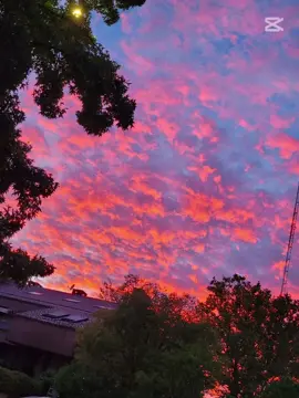 Beso tras besos - Nelson Velazquez #🐻 #vallenatosconletras #creatorsearchinsights #lavallenata #viraltiktok 