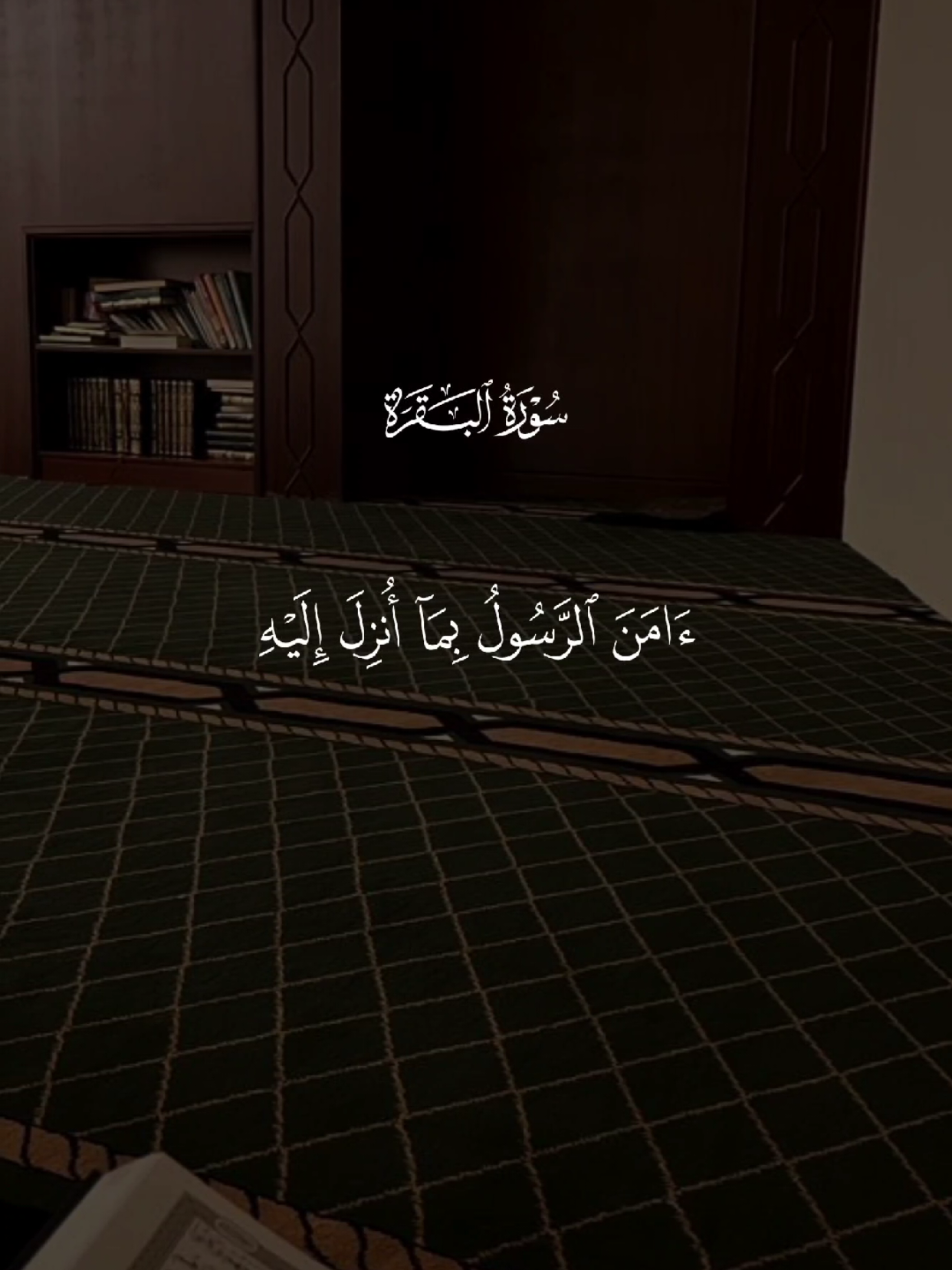 #قران #quran #قران_كريم #quran_alkarim #القران_الكريم 