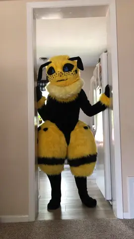 The other version.  We will be back to filming soon!  Stay tuned for new content and creations!! #furries #fursuit #fursuiter #fursuiting #fursuitmaker 
