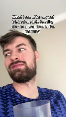 #cat #catsoftiktok 