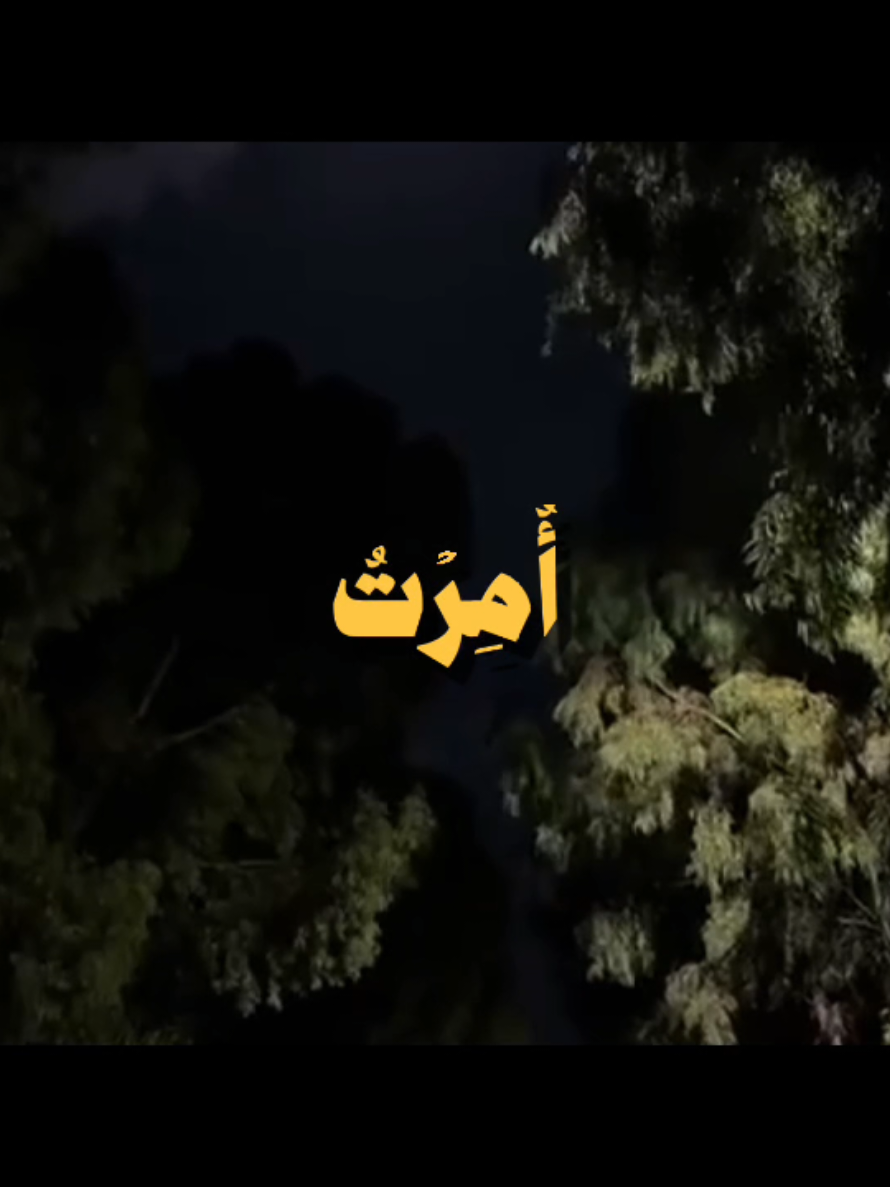 { قُلْ إِنِّي أُمِرْتُ أَنْ أَكُونَ أَوَّلَ مَنْ أَسْلَمَ وَلَا تَكُونَنَّ مِنَ الْمُشْرِكِينَ } [سُورَةُ الأَنْعَامِ: ١٤] القارئ: ياسر الدوسري  . . . #قرآن #quran #قران_كريم #ياسر_الدوسري #الشيخ_ياسر_الدوسري 