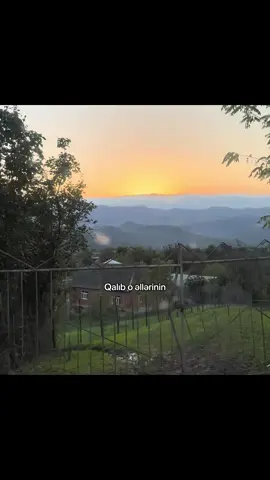 Qalıb o bal dilinin sözləri məndə..#fypppppppppppppppppppppppppppppp #viral?videotiktok #fyppppppppppppp #viralvideo #fyppp 