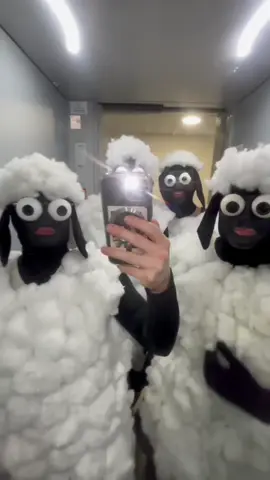 BÄÄ #shaunthesheep
