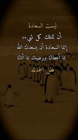 #عبارات #اقتباسات #اقتباسات_عبارات_خواطر ليست السعادة أن تمتلك كل شيء، إنما السعادة أن يسعدك الله بما أعطاك ويرضيك بما أتاك فقل الحمدلله