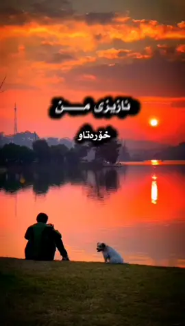 #كوردستان 
