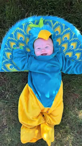 Welcome to Benny’s Costume-a-Day Challenge! #babyhalloween #firsthalloween #halloweencostume #halloween #spookyseason 