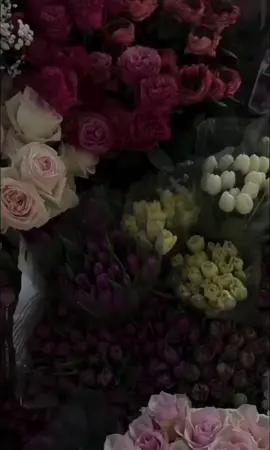 راح اعترف 🤍🍁 #قصائد_حسينيه #باسم_الكربلائي #العراق #اكسبلور #dancewithpubgm 