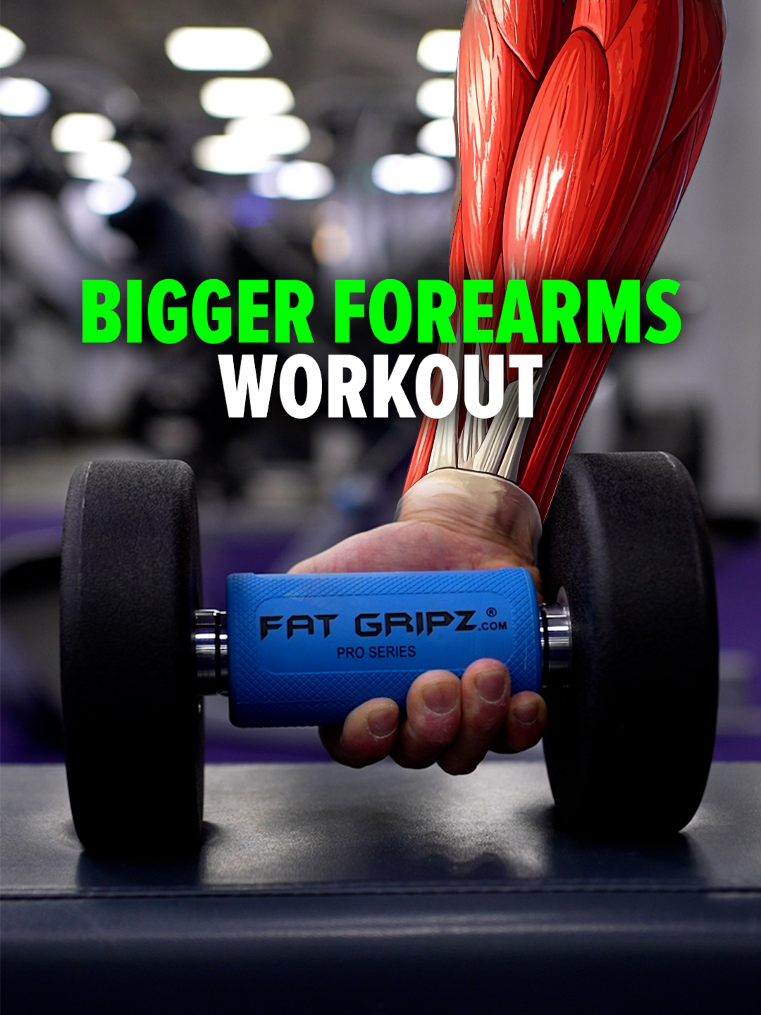 Build BIGGER Forearms with @fatgripz.usa  To grow your forearms, you need to hit all three key areas: Flexors (inner forearms) Extensors (outer forearms) Brachioradialis (elbow flexor) A simple hack: use @fatgripz to thicken the handle. This forces a tighter grip, increasing forearm engagement on every rep. ✅ Supinated grip → Dumbbell Wrist Curls for the flexors ✅ Pronated grip → Wrist Extensions for the extensors ✅ Semi-pronated grip → Reverse Grip Concentration Curls for the brachioradialis 🔥 Finish with Farmer’s Carries to build crushing grip strength #forearmworkout #forearm #fatgripz