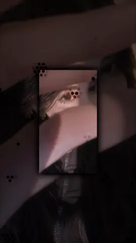 ⧼- المصمم عبود 🤺🤎. ⧽           #𝕁𝕠𝕣𝕕𝕒𝕟       jordan🇯🇴                #fypシ゚vira#