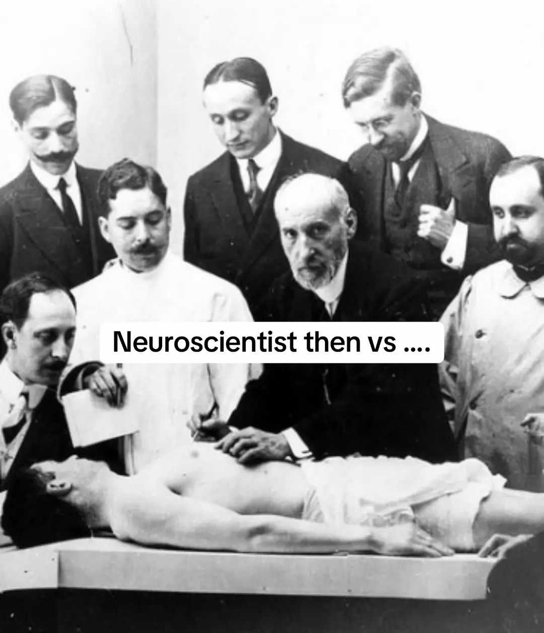 I’m still just a placement student but I’m deep in the trenches rn #trend #viral #uni #stem #fyp