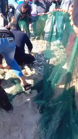 رزق الصيادين في غزة !!!!  انشغلت  عنهم  بحرية 