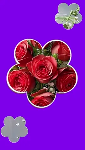 #CapCut #اغاني #فرنسا🇨🇵_بلجيكا🇧🇪_المانيا🇩🇪_اسبانيا🇪🇸 #تونس🇹🇳 #ليبيا_طرابلس_مصر_تونس_المغرب_الخليج 