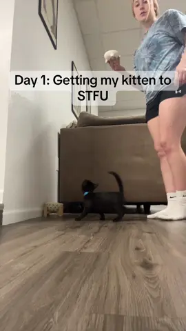How long does it take for Spook to stop meowing?