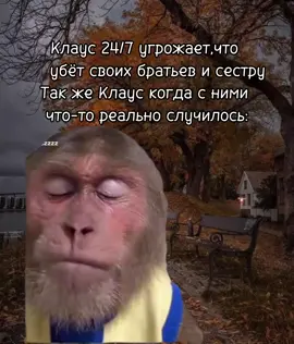 Клаус Майклсон:🪶#vampire #fyp #thevampirediaries #vampirediaries #tvd 