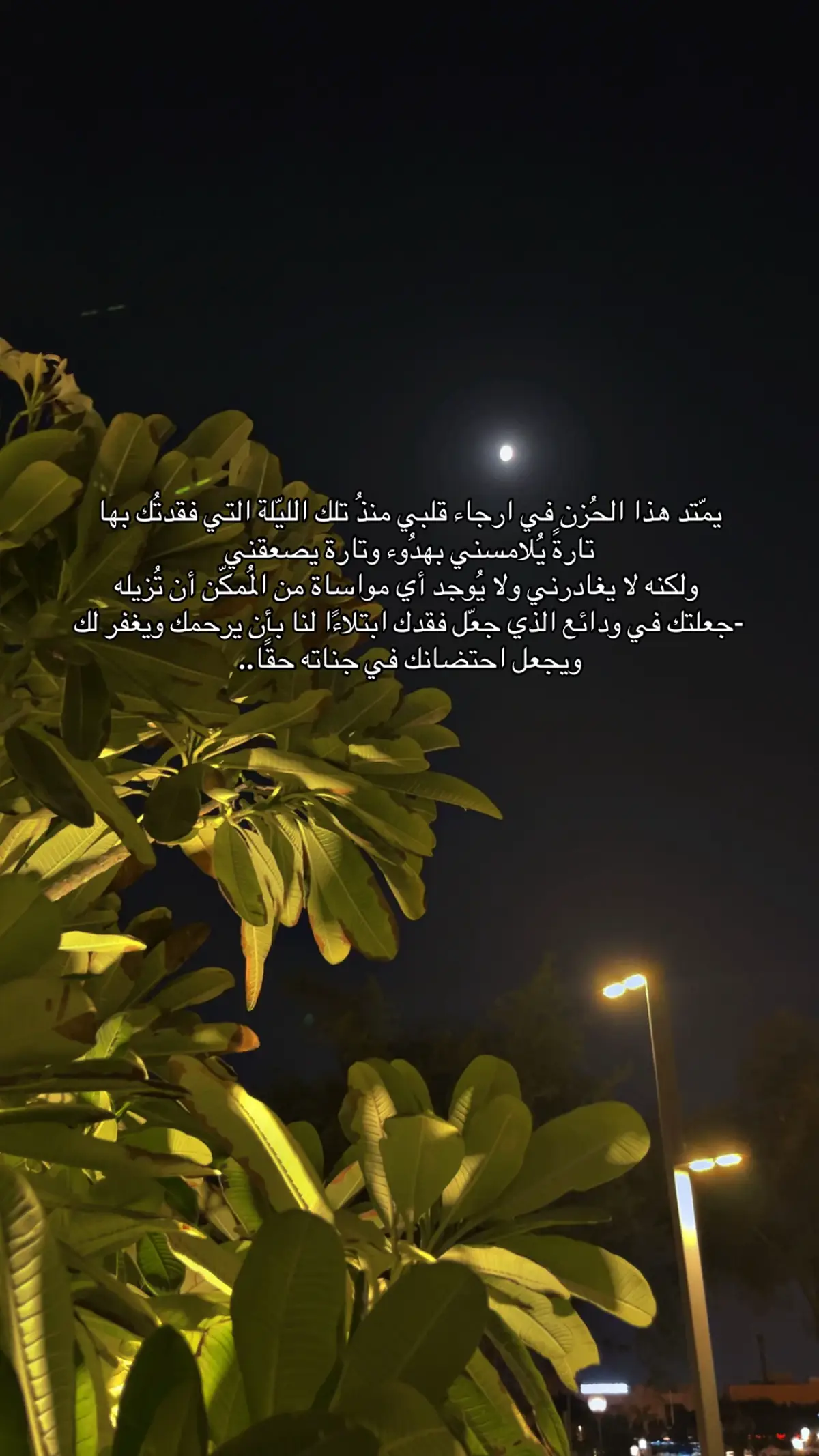 #يارب_ارحم_ابي_وارزقه_الجنه_واغفرله_  #رحم_الله_ابي💔  #ياربي_أجبر_قلبي💔  #يارب_أجمعنا_في_الجنة  #يارب_الجنه_لفقيدي 