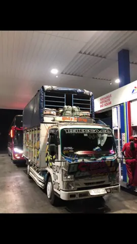 Jambi cepat jere ne cah2🤭🫠#krodong_mania_indonesia_comunity 