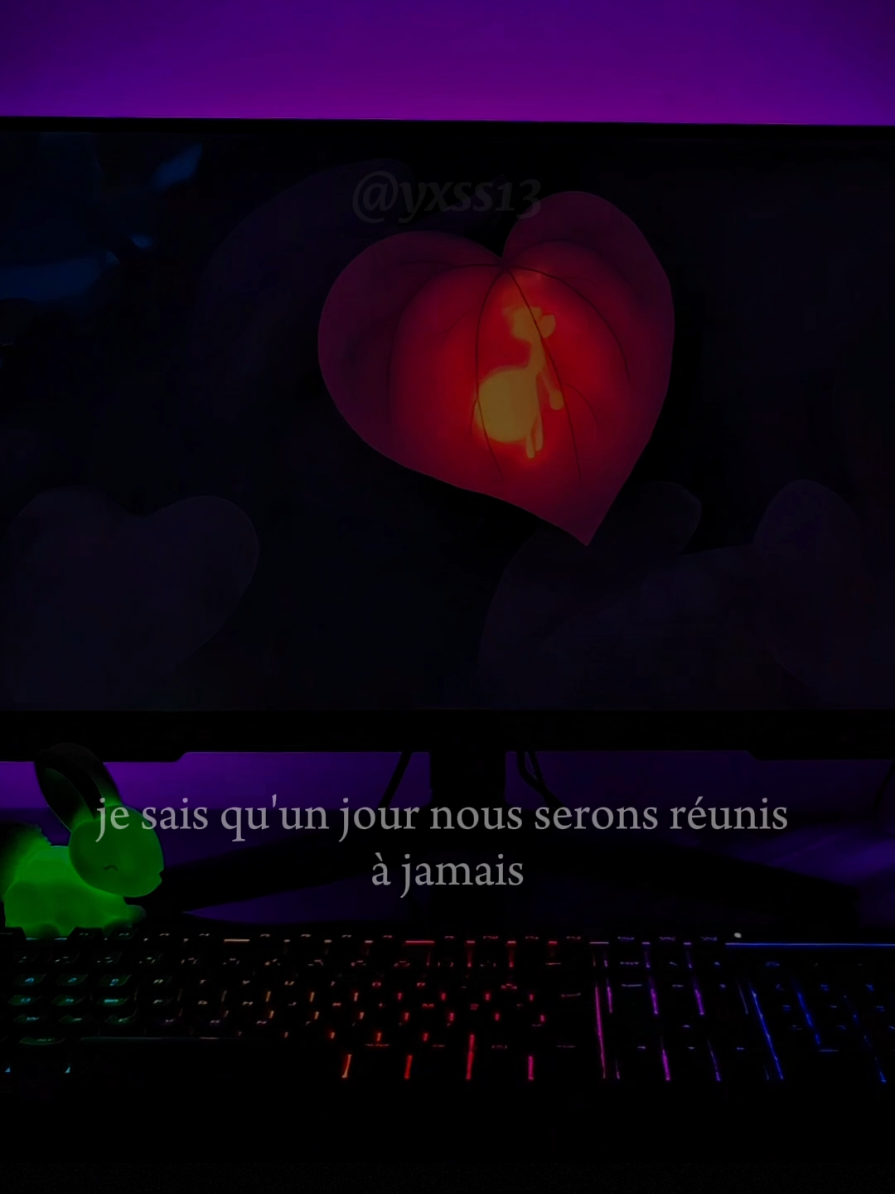 je sais qu'un jour nous serons réunis à jamais... #anime #laprincesse #animeedit #sad #citation 