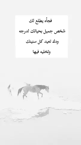 #اكسبلور 