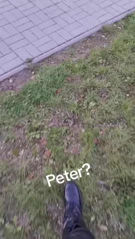 what is this 😱#peteryourboyfriendgame #peteryourboyfriendgame #peteryourboyfriendgame #fyp #fyourpage 
