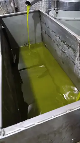 ماشالله تبارك الرحمان اليوم اول يوم من موسم الزيتون بي عفرين معصرت وليد الله يطرح البركه يارب