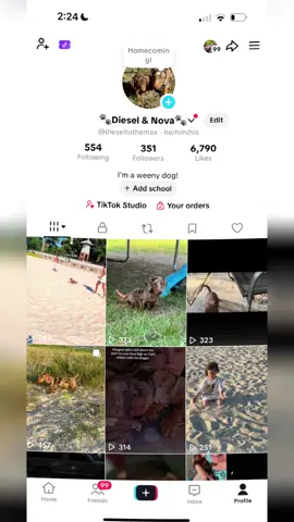 My 3 accounts! Can you give them all some love?