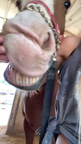 Mares…. Haha jk she’s my best friend #horses #funny #cowgirl 