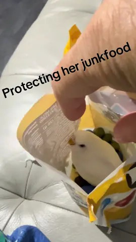 She must know she can’t stay there for whole life  #parakeet #budgie #bird #pets #parrot 