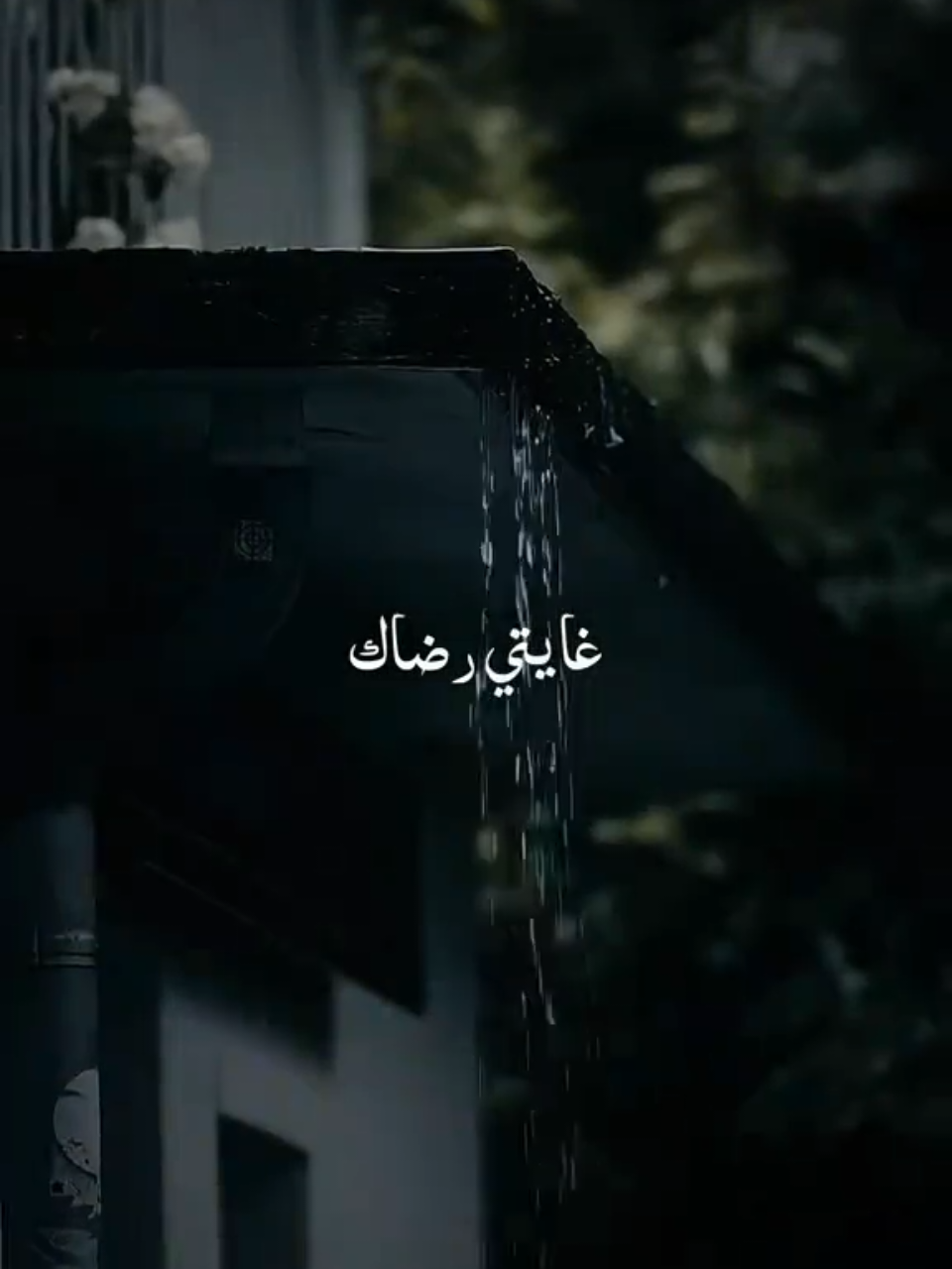 فى حماك ربي☝️ . . . 