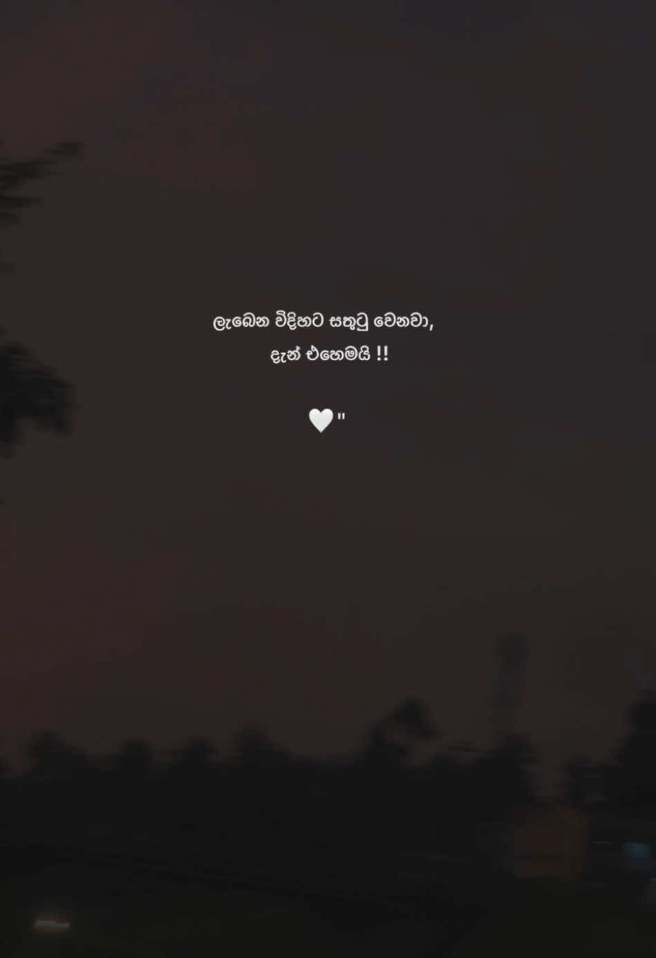 දැන් එහෙමයි!🫶🤍