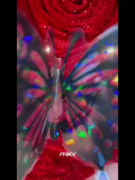 #nafisafalower #flowerchallenge #soodalbo  Dalab sharaftiisa wato