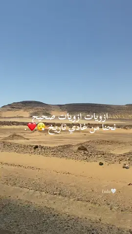 #مشاهير_تيك_توك #tik_tok #cap_ #cap_ #explore ازويات ازويات صحيح نحنا من غادي تاريخ 😮‍💨❤️.