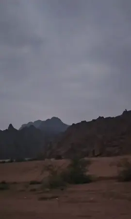 شيلات##f 