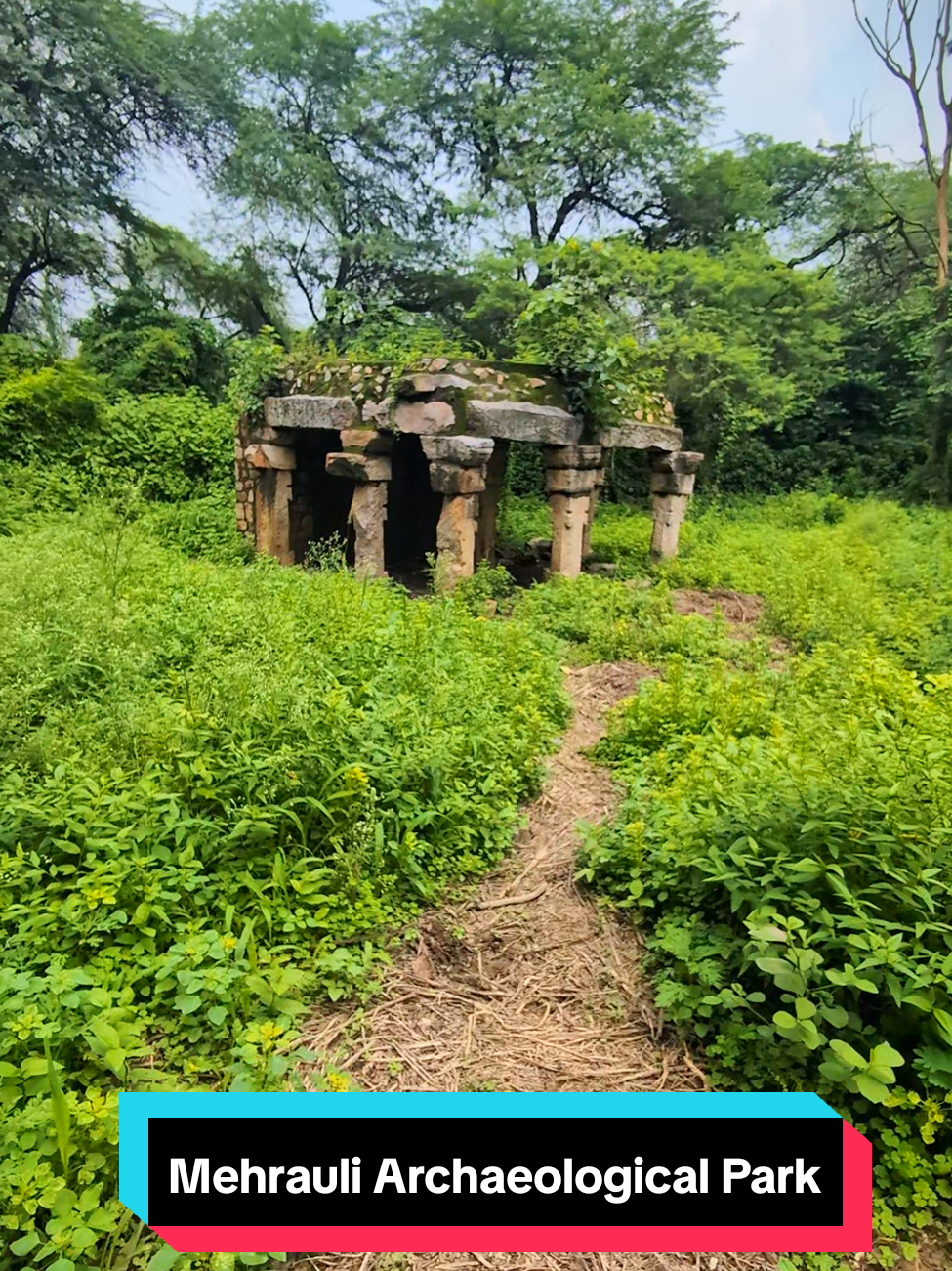 Amidst the wild greenery of Mehrauli Archaeological Park lies a small, forgotten pavilion, its stone columns still holding firm though its dome has long since vanished. Structures like this were once an integral part of Delhi’s medieval landscape, built during the Sultanate and Lodi periods when rulers commissioned countless tombs, mosques, stepwells, and pleasure gardens across the capital. This particular ruin likely served as a chhatri, a domed canopy raised over a grave, or as a resting pavilion within a larger garden complex. Such monuments embodied both religious devotion and the rulers’ desire to leave enduring marks upon the land. They were designed in a style distinct to the Delhi Sultanate—using locally available quartzite stone, often left rough on the surface, but arranged with remarkable precision. Mehrauli itself is the oldest continuously inhabited area of Delhi, home to over a thousand years of history. From the Tomaras and Chauhans to the Delhi Sultanate and the Mughals, each dynasty left its architectural imprint here. The area around the Qutub Minar became a necropolis, where even minor nobles and officials commissioned small tombs like this one, hoping for remembrance close to the city’s spiritual and political heart. Now overgrown and silent, the pavilion is one of more than a hundred monuments scattered across the park, its crumbling stones a reminder of Delhi’s rise as the seat of power in medieval India. What was once a place of reverence now sits as a ruin, half-swallowed by nature—yet still carrying the memory of dynasties long gone. #AncientRuins  #IndianHistory  #MedievalIndia  #HistoricSite  #AncientHistory 