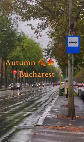 #bucuresti #toamna #viral #fyp #bucharest 