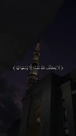 القارى ماهر المعيقلي 🖤✨#quran #fyp #قران #sb3zaid0 