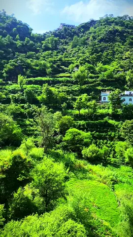 #ايوب_طارش #اليمن #اب #حزم_العدين_قهنات #مجرد________ذووووووق🎶🎵💞 