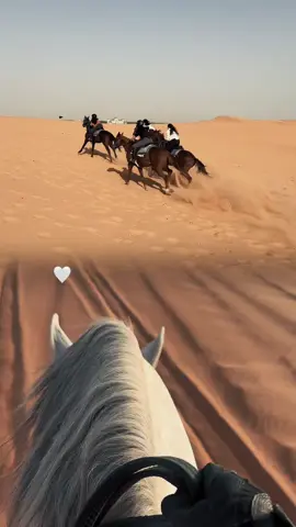 #اسطبل #خيل_وخياله🐎 #foryou #اكسبلور #4u 